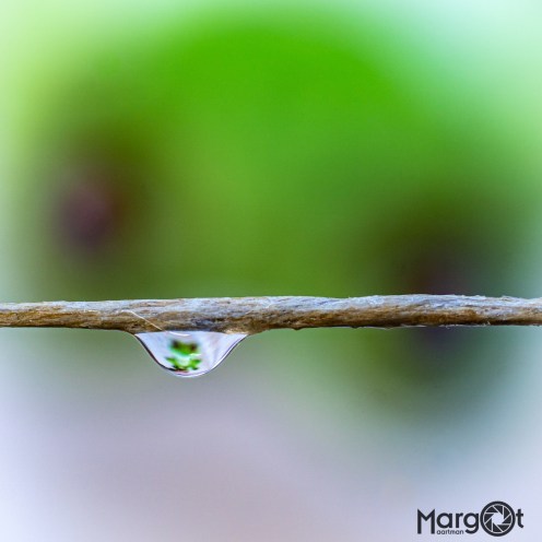 431320b5-3d57-421f-a0a6-47de09aff32d