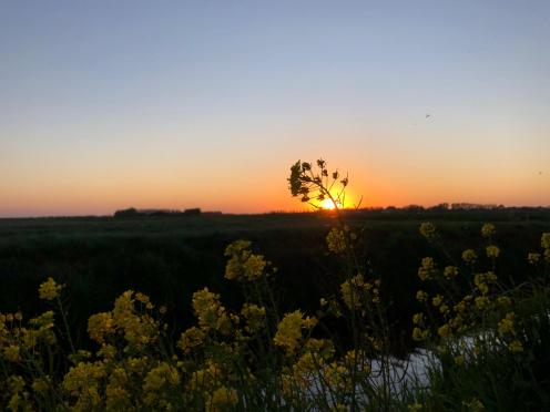 548db63b-d73f-4c9b-b556-94d3166f0f3a