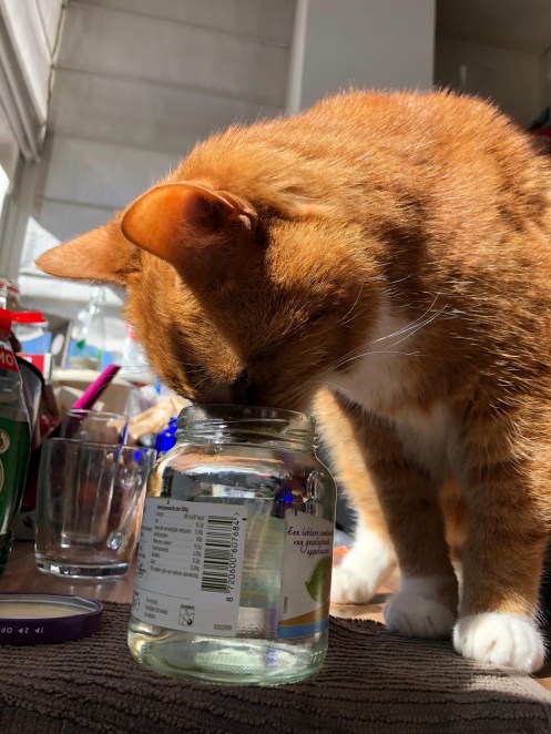 84e9e7d0-82c4-42a4-97a4-3c07835e5868