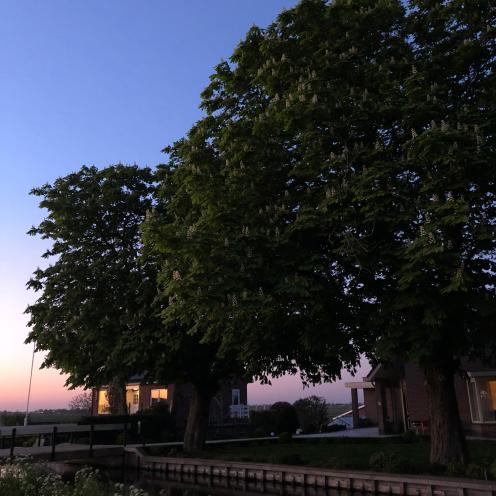 c09b9bbc-e757-4a28-8230-f10b9a62bddc