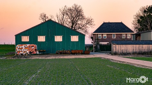_DSC6939