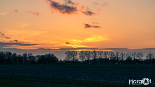 _DSC6945