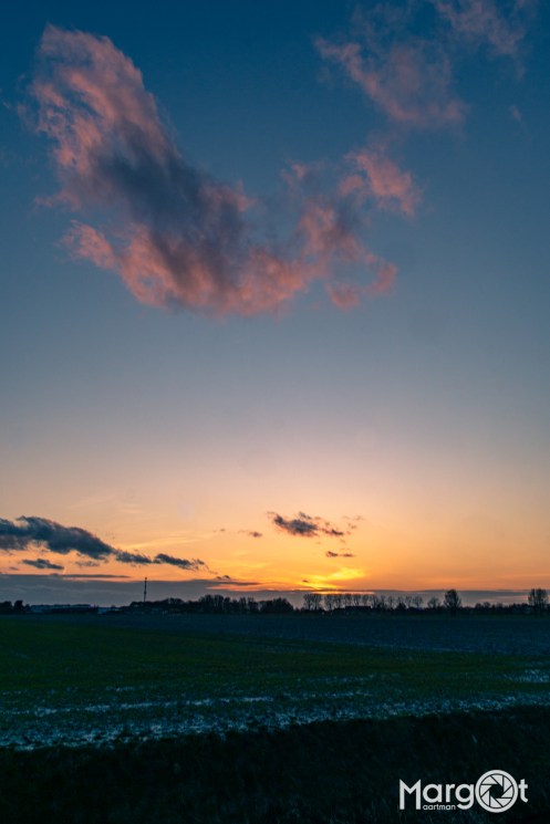 _DSC6947