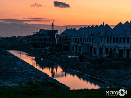 _DSC6977