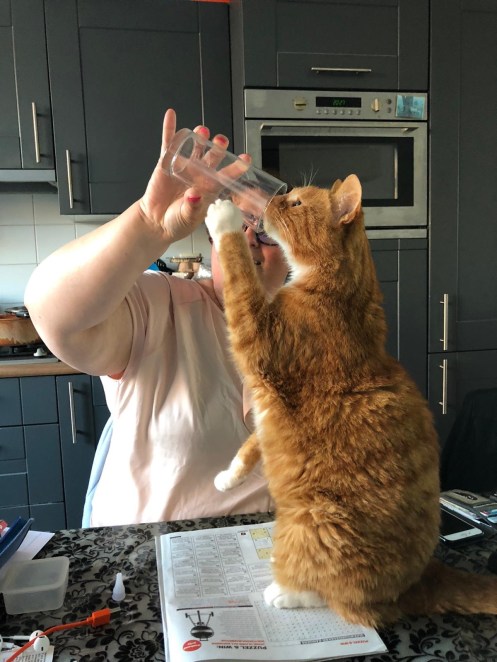 ec800a18-dd74-4aa0-9d03-19c620a720c6